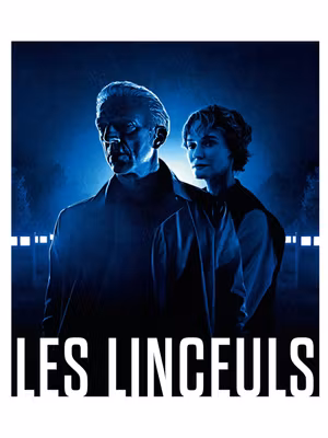 The Shrouds's poster