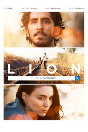 Lion's poster