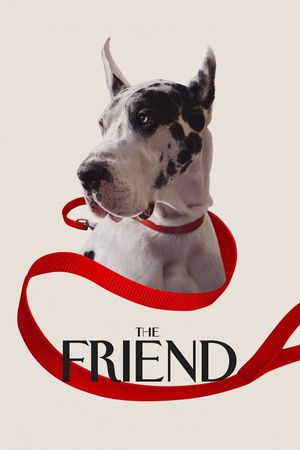 The Friend's poster