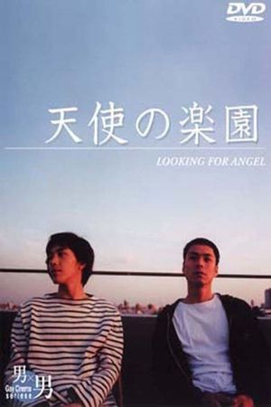 Looking for an Angel's poster