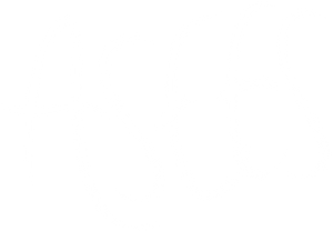 Asees's poster