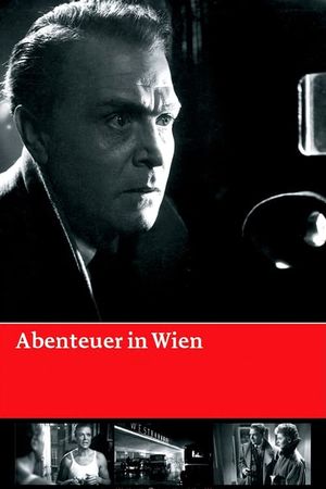 Adventures in Vienna's poster