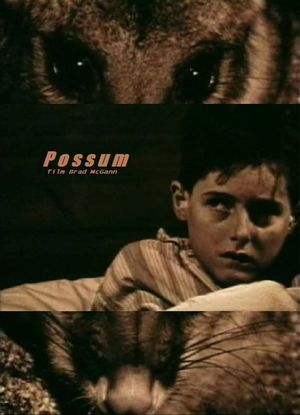 Possum's poster image