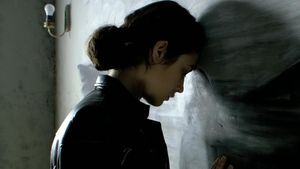 The Assassin Next Door's poster