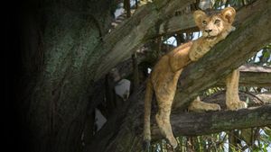 Tree Climbing Lions's poster