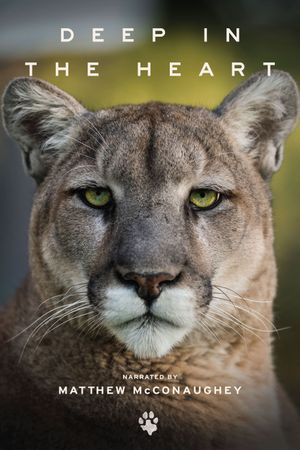Deep in the Heart: A Texas Wildlife Story's poster