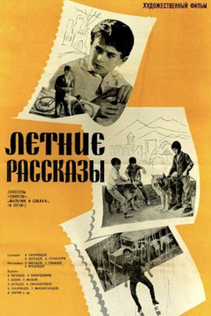 Summer Stories's poster