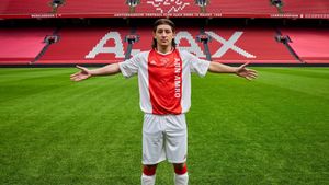 I Am Zlatan's poster