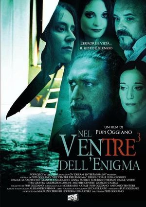 Nel ventre dell'enigma's poster