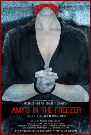 Amy's in the Freezer's poster
