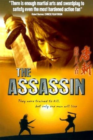 The Assassin's poster