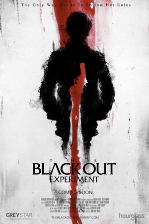 The Blackout Experiment's poster