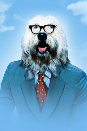 The Shaggy D.A.'s poster