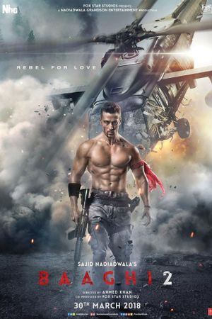 Baaghi 2's poster