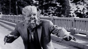 The Werewolf's poster
