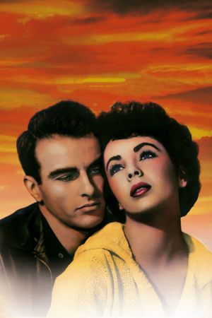 A Place in the Sun's poster