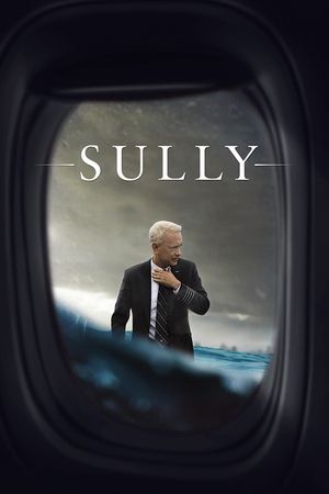 Sully's poster