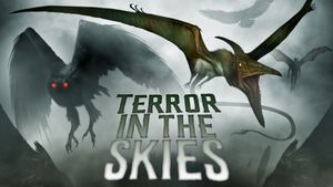 Terror in the Skies's poster