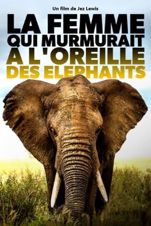 Elephant Mother's poster image