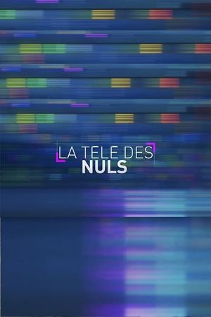 La télé des Nuls's poster