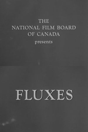 Fluxes's poster