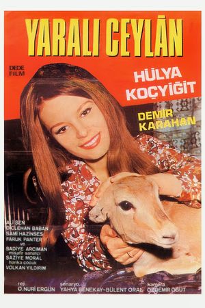 Yarali Ceylan's poster