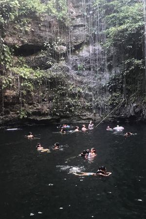 Cenote's poster