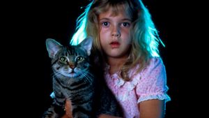 Cat's Eye's poster