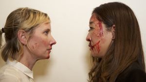 Catfight's poster