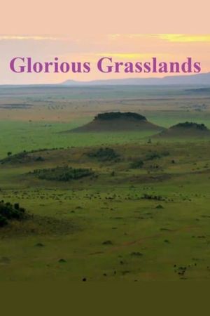 Glorious Grasslands's poster