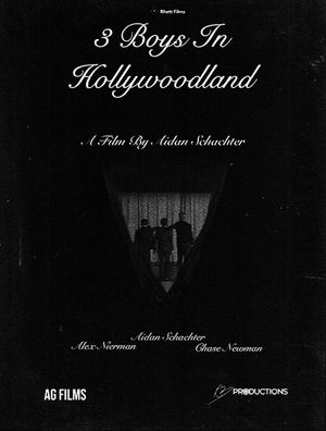 3 Boys In Hollywoodland's poster