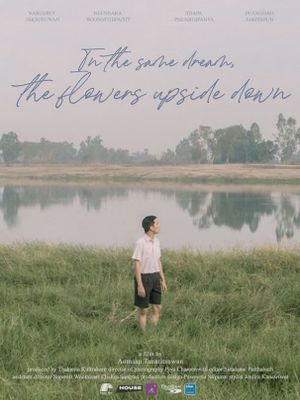 In the Same Dream,the Flowers Upside Down's poster image