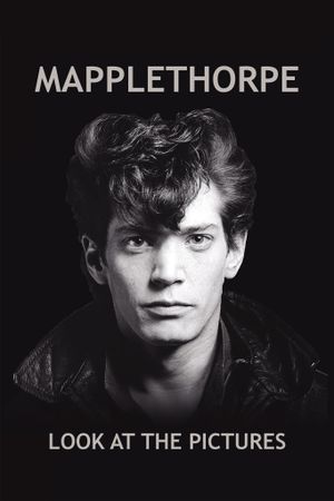 Mapplethorpe: Look at the Pictures's poster