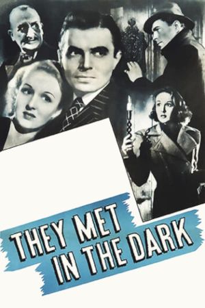They Met in the Dark's poster