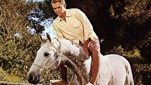 The Horse in the Gray Flannel Suit's poster