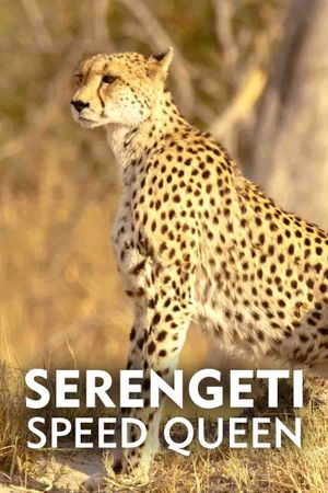 Serengeti Speed Queen's poster