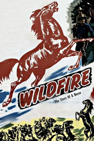 Wildfire's poster