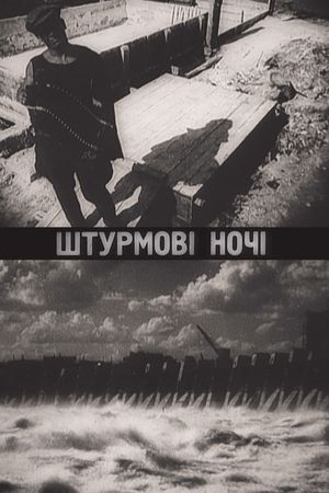 Shturmovye nochi's poster