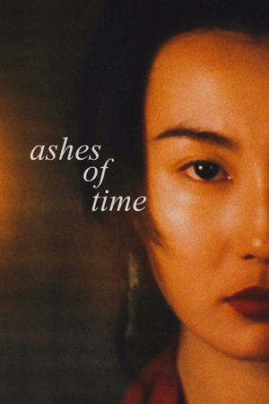 Ashes of Time's poster
