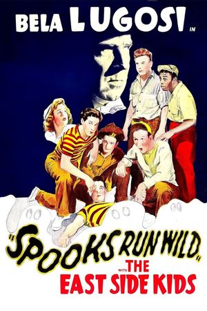 Spooks Run Wild's poster