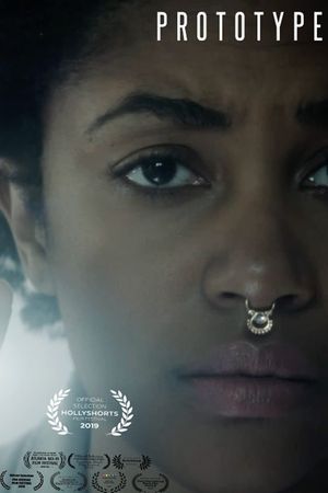 Prototype's poster