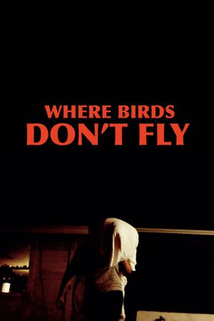 Where Birds Don't Fly's poster