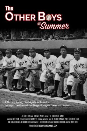 The Other Boys of Summer's poster