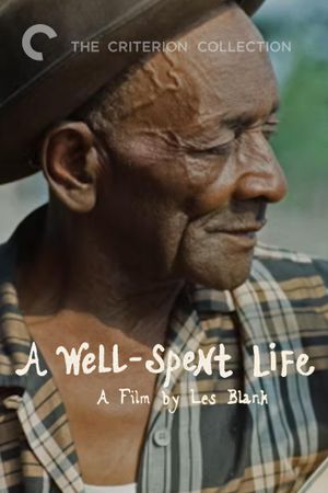 A Well Spent Life's poster