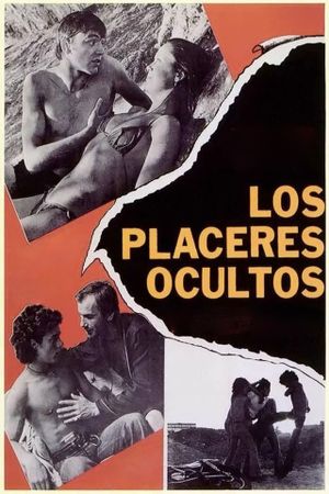 Hidden Pleasures's poster