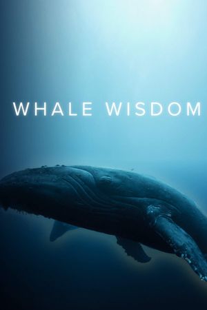 Whale Wisdom's poster