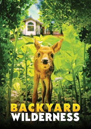 Backyard Wilderness 3D's poster