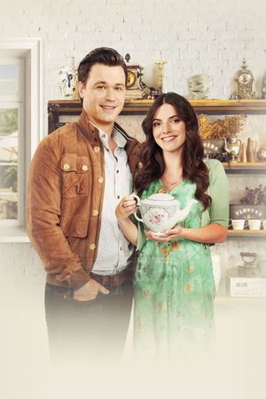 A Priceless Love's poster