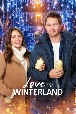 Love in Winterland's poster