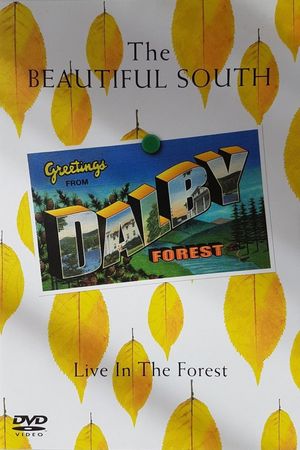 The Beautiful South: Live In The Forest's poster image